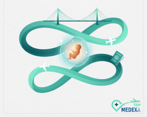 IVF in Iran and Iraq